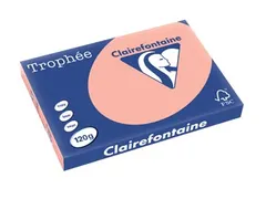 Kopieerpapier Trophee A3 120 Gram Perzik
