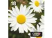 Multipack 4-colours 18 EasyMail