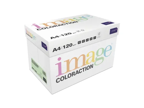 Kopieerpapier Forest Middelgroen A4 120 Gram 250 Vel