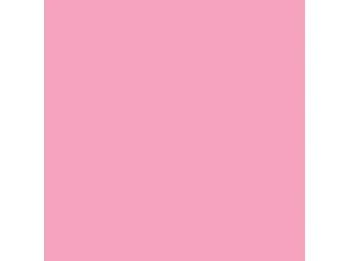 Trophée Pastel gekleurd papier A4 120 gram 250vel Eglantine roze