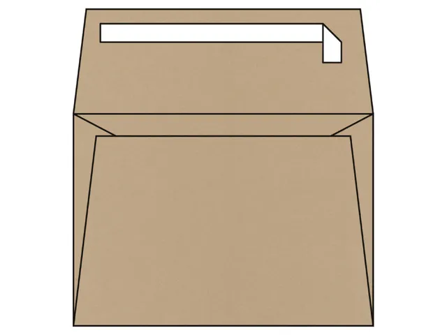 Envelop Olin Origins strip Cereal 120 Gram C5 162x229mm doos FSC