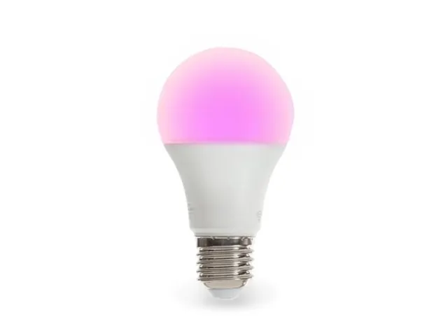 Smart Wifi Rgb-Lamp - Koudwit & Warmwit - E27 - A60