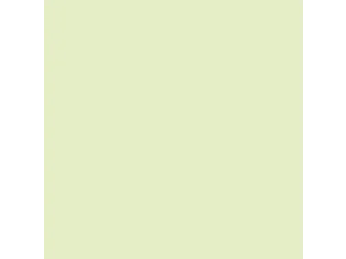 Inapa Tecno colors Gekleurd papier A4 Licht Groen 160 gram 250vel