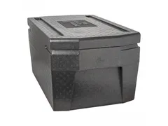 Thermobox Deluxe 45 liter, 250mm 1/1 GN