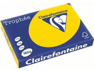 Trophée Pastel gekleurd papier A3 160 gram 250vel Goudgeel - 2