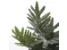 Kunstplant Mica Philodendron selloum groen in pot 50x60cm
