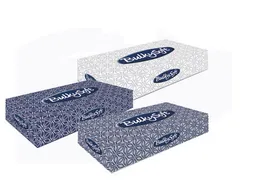 BulkySoft Facial tissue cellulose 2-laags wit