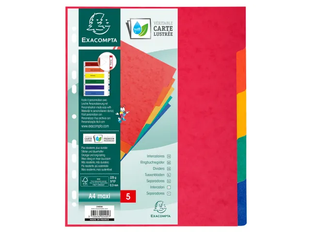 Tabblad glanskarton 225g 5-delig A4 maxi Assorti