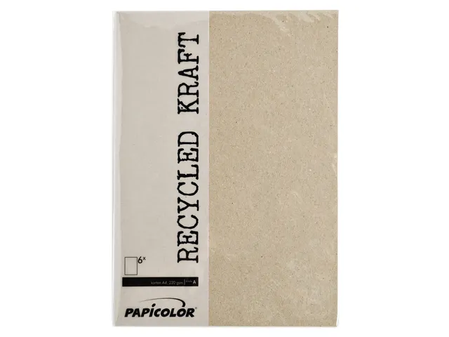 Kopieerpapier Papicolor A4 220gr 6 vel kraft grijs
