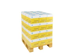 Kopieerpapier Hp Everyday A4 75 Gram Pallet