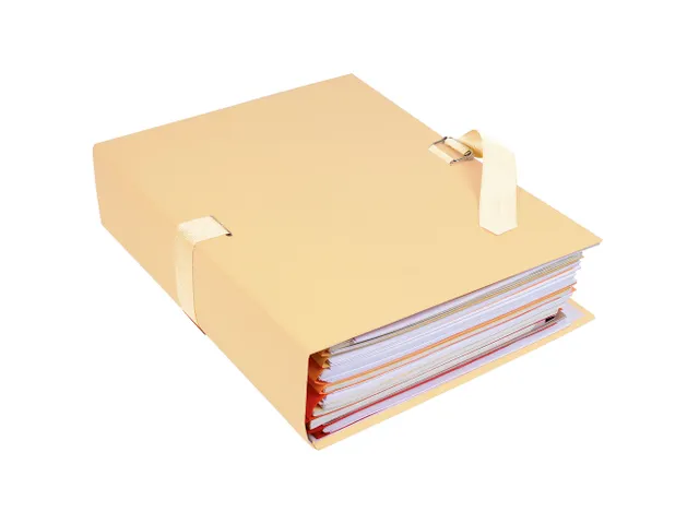 Chemise dos extensible papier Mastic