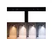 Lampe écran 8189890 MAULgate LED 3.000-6.500K dimmable pince Noir