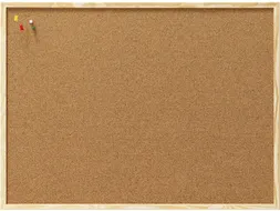 Prikbord Naga 100 x 60 cm Kurk