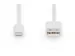 Oplaad-/datakabel Lightning USB A St/St 1m iP5/6/7 MFI Wit