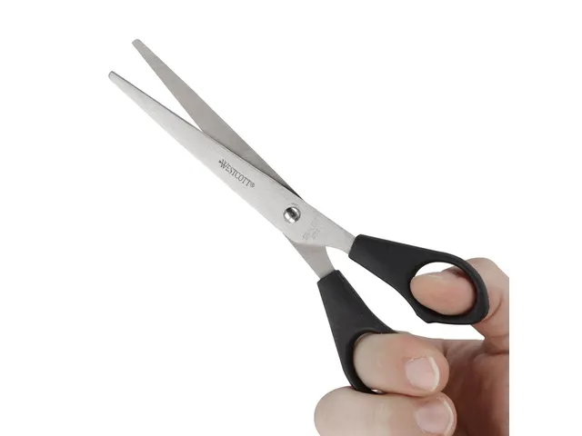Ciseaux Westcott Buro 171mm inox manche plastique