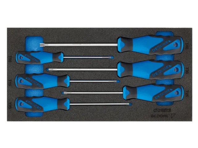 1500 CT1-2163 Tournevis TXB dans le module Check-Tool