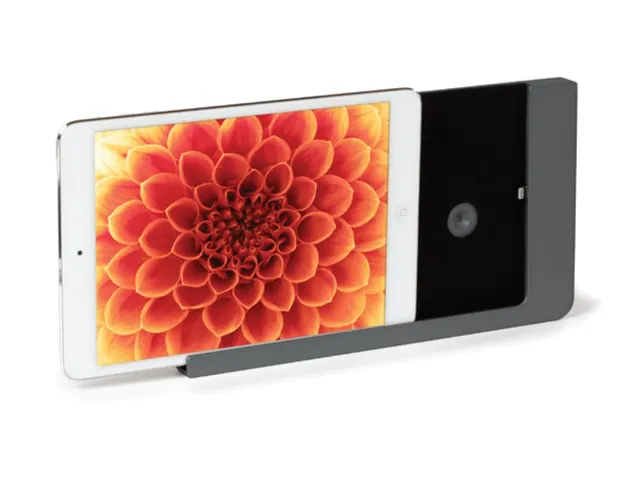 Premium Wandhouder - Voor iPad Mini 4&5 - Dark Steel