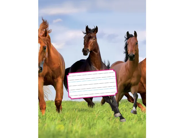 Schrift Kangaro 165x210mm schoonschrijven 72 pagina's 80gr