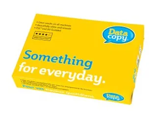 Kopieerpapier A4 4-Gaats Datacopy 80 Gram Wit Pallet - 2