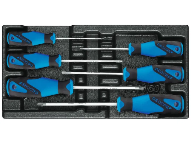 1500 ES-2163 TXB Schroevendraaierset in 1/3 ES-module