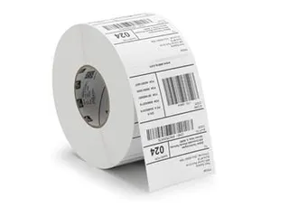 Labeletiket Zebra 2000T 3007204-T 57x102mm wit - 1