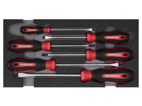 R22150014 Schroevendraaierset PZ+SL 2/6 CT-module 6-delig