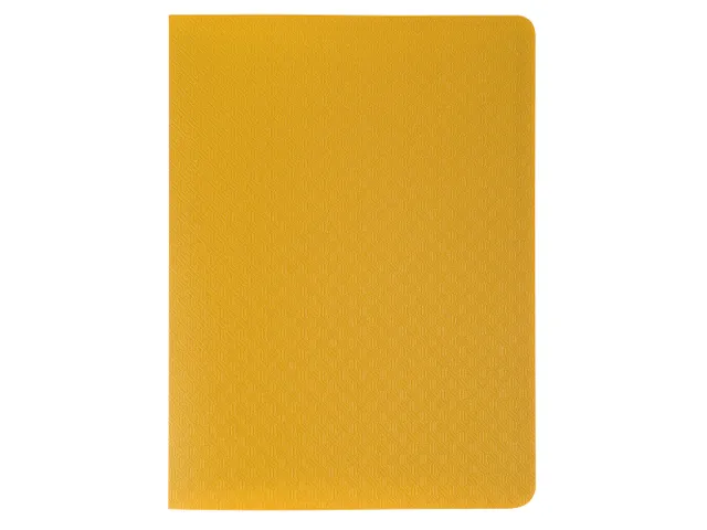 Protège-documents en polypropylène semi-rigide OPAK 40 vues - Pocket