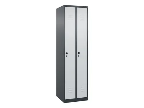 locker,HxBxD 1850x500x500mm,2vak,vak B 250mm,draaigrendel