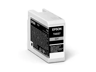 Epson Origineel Inktcartridge UltraChrome Pro 10 C13T46S700 Grijs - 1