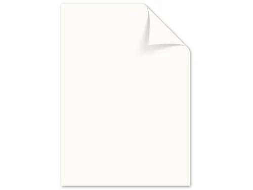 papier Kangaro A4 120 gram pak a 100 vel (10x10) assorti