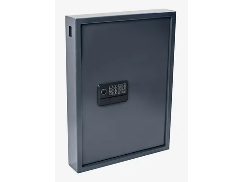 Sleutelkast Pavo High security advanced 50 haken 550x380x100mm