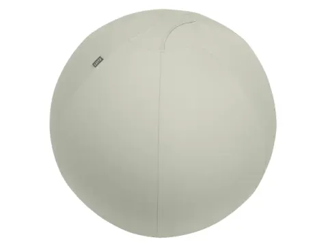 Leitz Ergo actieve zitbal anti-rol met stop-functie 75cm lichtgrijs