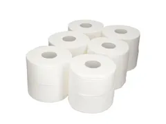 Papier toilette Budget Mini Jumbo 2 épaisseurs 170m 12 rouleaux