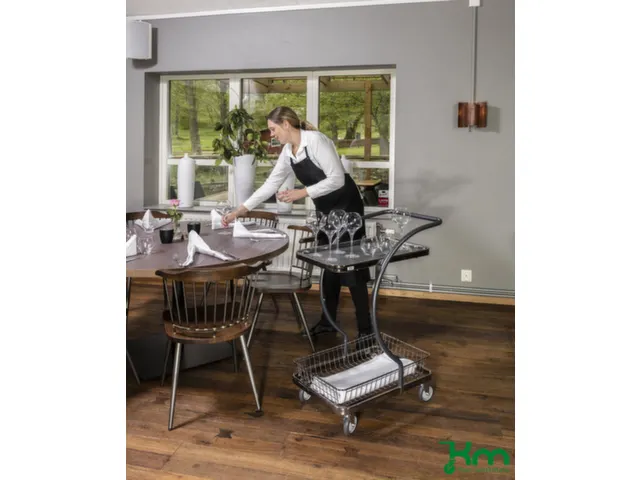 etagewagen,draagverm. 120kg,2etage(s),laadvl. LxB 595x360mm,grijs