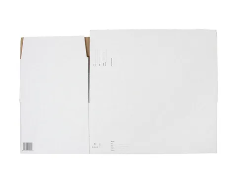 Postpakketbox IEZZY 6 485x260x185mm wit