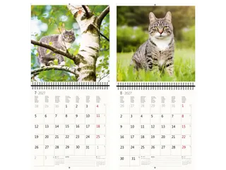 Kalender 2027 Helma 365 30x30cm katten - 4