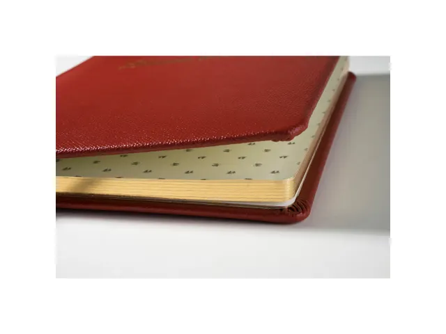 Gastenboek Alpille 2 6x22cm 140bl rood