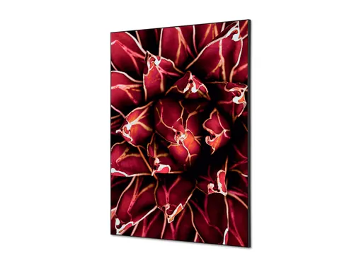 Wanddecoratie Textiel Set A1 Cactus Rood