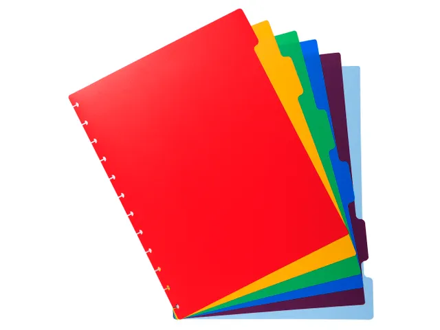 Tabbladen PP A4 voor showalb/ring 6 tabs