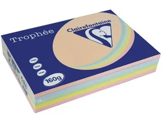 Trophée Pastel gekleurd papier A4 160 gram 250vel Assorti - 1
