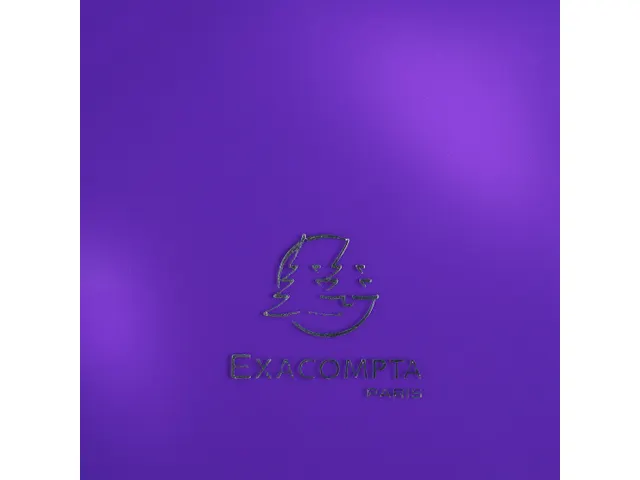 Elastomap met 3 kleppen IDERAMA PP in polypropyleen 5/10de A4 Paars