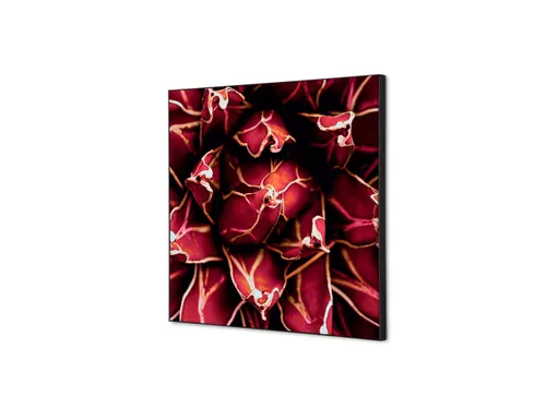Wanddecoratie Textiel Set 40x40cm Cactus Rood