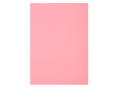 PK 250 dossiermappen FOREVER 60 Roze