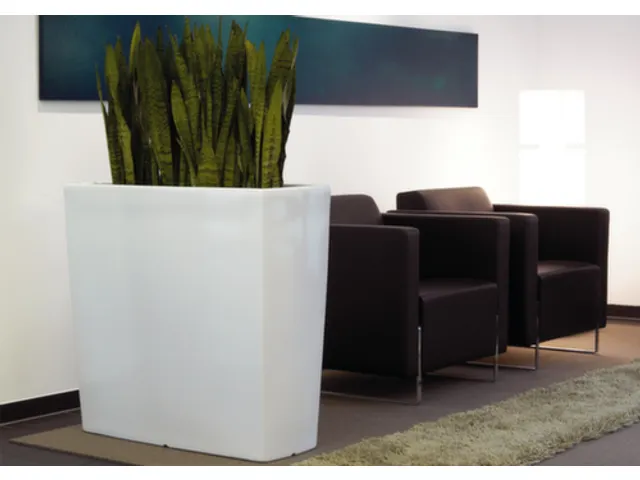 plantenpot,trapeziumvormig,PE,signaalwit,HxBxD 900x900x390mm,55l