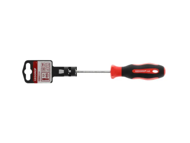 R38105519 2C schroevendraaier sleuf 5,5mm 1x100mm
