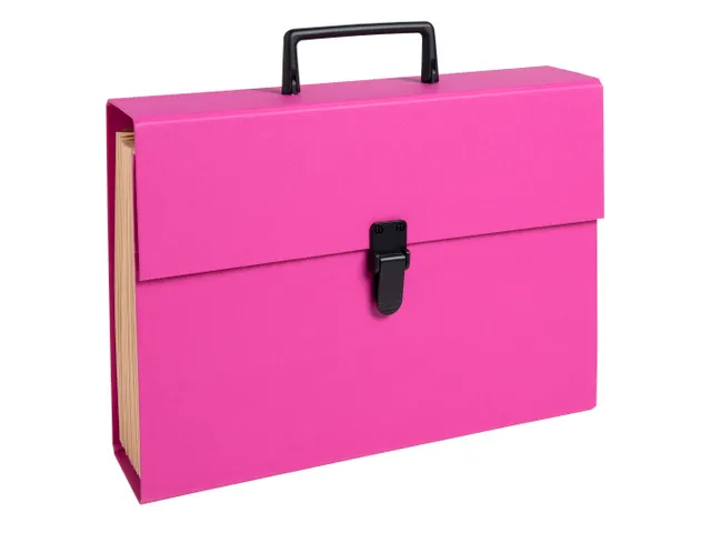 Sorteermap m/handvat 20 vak geass..