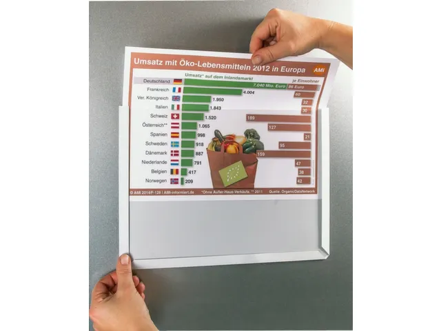 zichtpaneel,DIN A4,staand,rood,achterzijde magnetisch