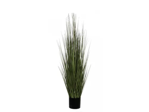 Gras 122cm