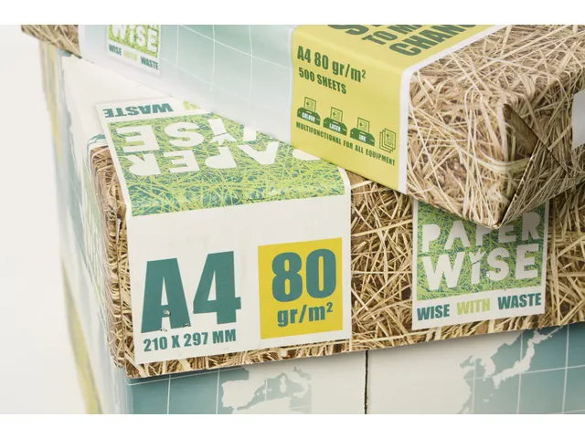 Kopieerpapier PaperWise A4 wit 80 gram doos a 5 pakken