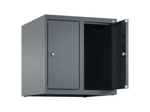 opzetkast,v. locker,2vak.,vak B 250mm,HxBxD 500x500x500mm,vleugeldeur